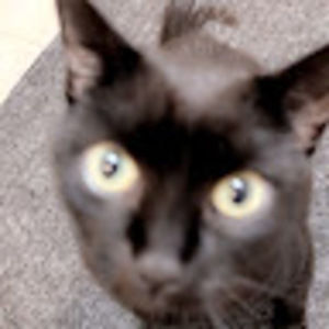 Meet your Posher, Talia